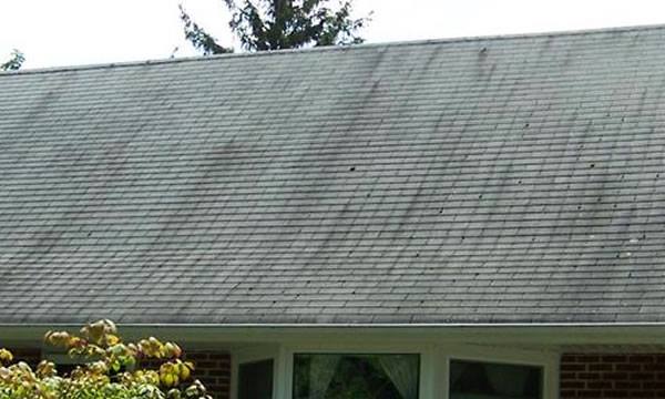 thornton roof repair