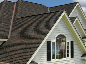 When it comes to roofing repair and replacement in Aurora, Armour Roofing and Exteriors is your best bet.