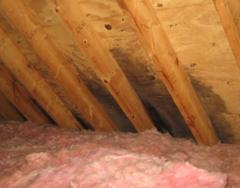 Inspecting roof for storm damage in Thornton